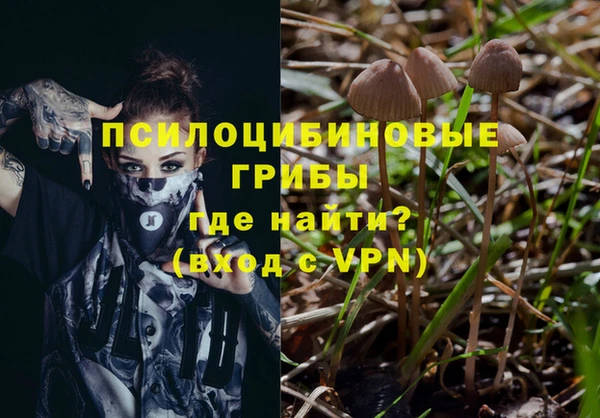 первитин Гусь-Хрустальный