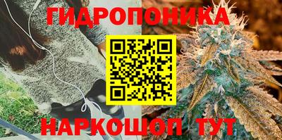 ALPHA-PVP Будённовск