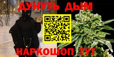 сатива Бузулук