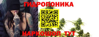 стаф Шахты