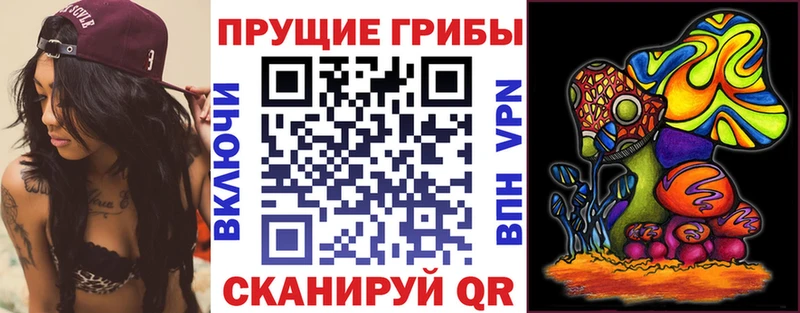 Псилоцибиновые грибы ЛСД  мега ONION  Белореченск  где купить наркоту 